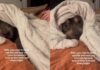 Rescue Dog Who Once Slept Outside Leaves Cold Nights Behind When Human Warmly Tucks Him In Rescue Dog Who Once Slept Outside Leaves Cold Nights Behind When Human Warmly Tucks Him In