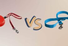 Retractable Leash vs. Regular Leash Retractable Leash vs. Regular Leash