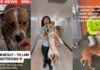 Shelter Dog Moves to a Place Where He Risks Getting Forgotten Shelter Dog Moves to a Place Where He Risks Getting Forgotten
