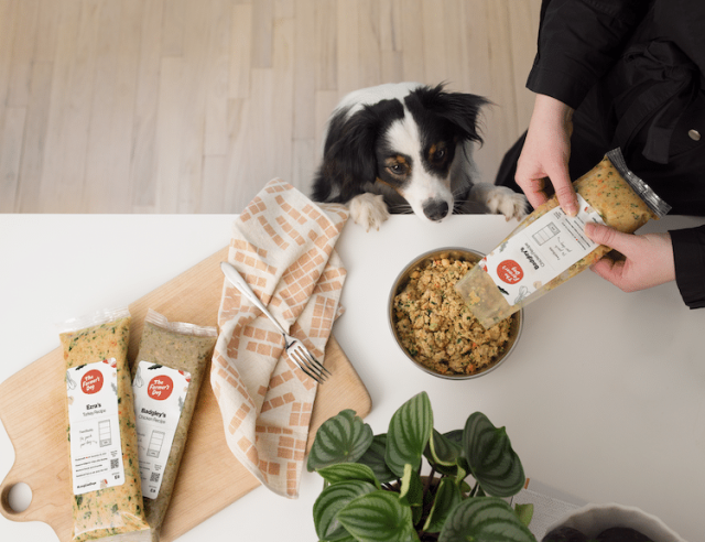 Owner serving The Farmer's Dog fresh, human-grade food from a personalized pre-portioned pack while their dog watches