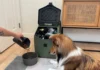 The Best Dog Food Storage Containers The Best Dog Food Storage Containers