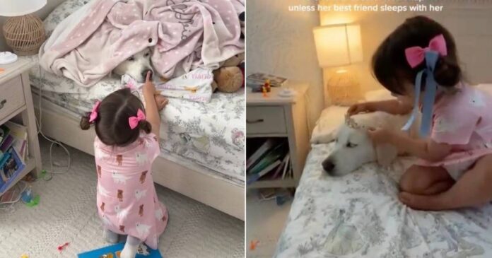 Toddler-Refuses-To-Go-To-Sleep-Without-Golden-Retriever-Like.jpg Toddler Refuses To Go To Sleep Without Golden Retriever Like That’s All She Needs