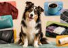 13 Places Dog Hair Somehow Always Appears (And How to Help) 13 Places Dog Hair Somehow Always Appears (And How to Help)