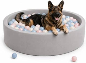 Dog Ball Pit, 43.5