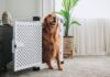 7 Best Hidden Dog Beds 7 Best Hidden Dog Beds