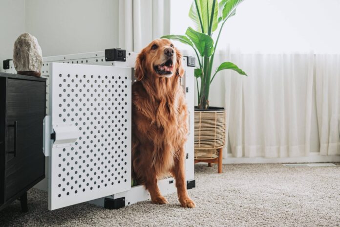 7-Best-Hidden-Dog-Beds.jpg 7 Best Hidden Dog Beds