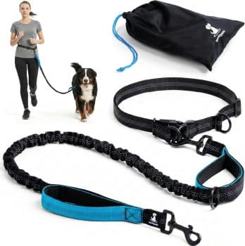 SparklyPets - Hands Free Dog Leash with Reflective Stitches