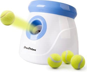 Pet Prime Automatic Dog Ball