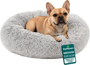 Furhaven 30