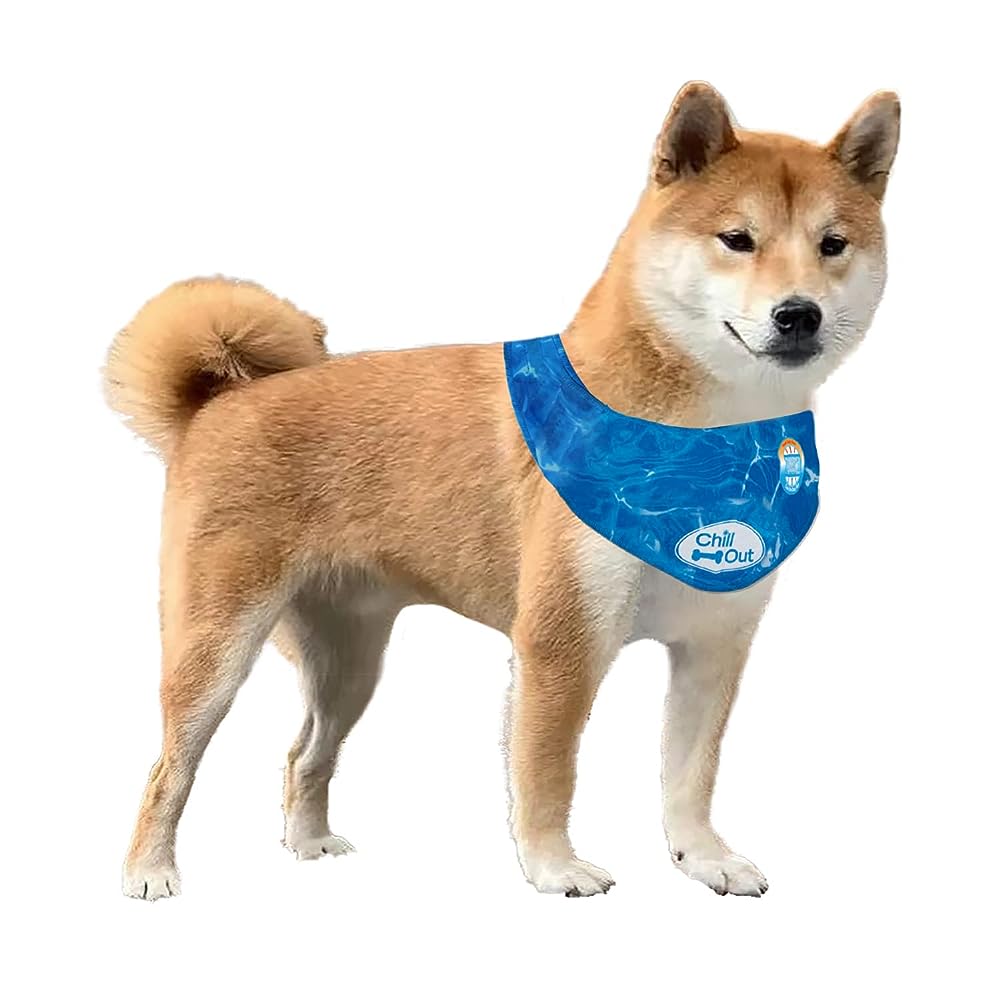 ALL FOR PAWS Chill Out dog ice cooling bandana for summer