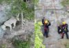 Dog Falls Down a Cliff and Spends 17 Hours Waiting on a Tiny Ledge for Help Dog Falls Down a Cliff and Spends 17 Hours Waiting on a Tiny Ledge for Help