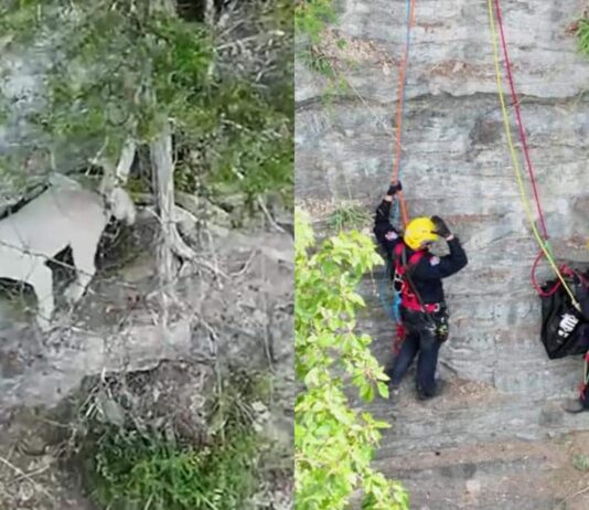 Dog Falls Down a Cliff and Spends 17 Hours Waiting on a Tiny Ledge for Help Dog Falls Down a Cliff and Spends 17 Hours Waiting on a Tiny Ledge for Help