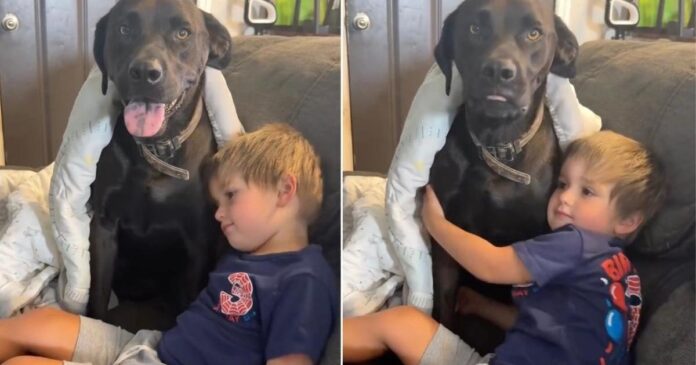 Dog-Sneaks-Into-Neighbors-Home-To-Play-With-Toddler.jpg Dog Sneaks Into Neighbor’s Home To Play With Toddler & His ‘Double Life’ Is Exhausting