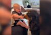 Family Dog Sends Baby Into Giggle Fits With Endless Kisses Family Dog Sends Baby Into Giggle Fits With Endless Kisses