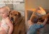 Foster Dog Comes Home During Mom’s Pregnancy — Then Becomes Toddler’s Best Friend Foster Dog Comes Home During Mom’s Pregnancy — Then Becomes Toddler’s Best Friend