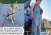 Human Takes Shelter Dog for a Car Ride, Unaware It Will Reveal a Painful Reminder of Her Past Human Takes Shelter Dog for a Car Ride, Unaware It Will Reveal a Painful Reminder of Her Past