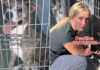 Human Visits Shelter Dog on Her Last Day To Make One Final Plea, Then the Unthinkable Happens Human Visits Shelter Dog on Her Last Day To Make One Final Plea, Then the Unthinkable Happens