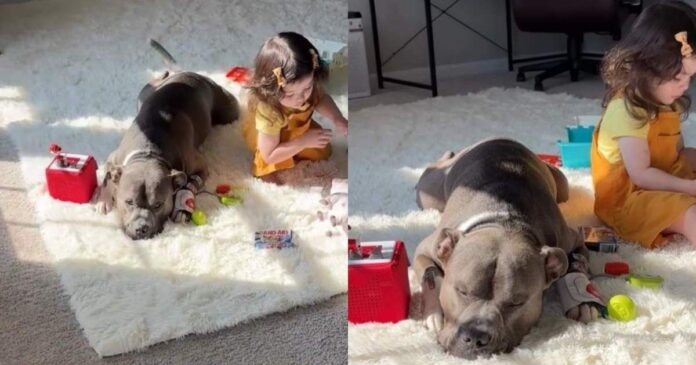 Mom-Finds-Dog-Toddler-Being-Suspiciously-Quiet-Only-to.jpg Mom Finds Dog & Toddler Being Suspiciously Quiet, Only to Chance Upon the Most Adorable Moment