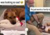 Shelter Dog Looks Completely Broken Until One Gesture From Human Changes Everything Shelter Dog Looks Completely Broken Until One Gesture From Human Changes Everything