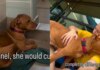 Shelter Dog Pays the Price for Someone Else’s Mistake & Gets a Heartbreaking Deadline Shelter Dog Pays the Price for Someone Else’s Mistake & Gets a Heartbreaking Deadline