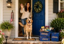 The Best Chewy Finds for Every Room in Your Dog-Friendly Home The Best Chewy Finds for Every Room in Your Dog-Friendly Home
