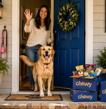 The Best Chewy Finds for Every Room in Your Dog-Friendly Home The Best Chewy Finds for Every Room in Your Dog-Friendly Home