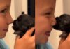 Tiny Newborn Puppy Has Little Girl Giggling With a Trick That’s Too Cute & Priceless Tiny Newborn Puppy Has Little Girl Giggling With a Trick That’s Too Cute & Priceless