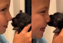 Tiny Newborn Puppy Has Little Girl Giggling With a Trick That’s Too Cute & Priceless Tiny Newborn Puppy Has Little Girl Giggling With a Trick That’s Too Cute & Priceless