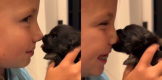 Tiny Newborn Puppy Has Little Girl Giggling With a Trick That’s Too Cute & Priceless