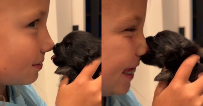 Tiny-Newborn-Puppy-Has-Little-Girl-Giggling-With-a-Trick.jpg Tiny Newborn Puppy Has Little Girl Giggling With a Trick That’s Too Cute & Priceless
