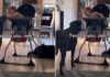 Toddler Always Saves a Bite for His Dog & It’s the Sweetest Routine Toddler Always Saves a Bite for His Dog & It's the Sweetest Routine