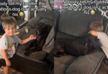 Toddler Finds a Best Friend in Neighbor’s Dog, Showering Him With Cuddles & Sweet Kisses Toddler Finds a Best Friend in Neighbor’s Dog, Showering Him With Cuddles & Sweet Kisses