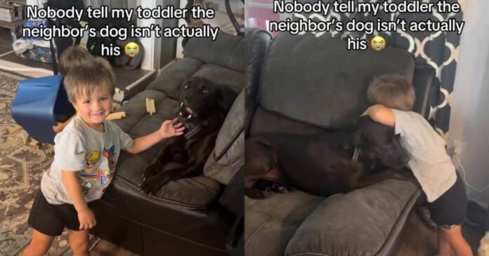 Toddler-Finds-a-Best-Friend-in-Neighbors-Dog-Showering-Him.jpg Toddler Finds a Best Friend in Neighbor’s Dog, Showering Him With Cuddles & Sweet Kisses