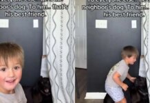Toddler’s Bond With Neighbor’s Dog Is So Much More Than What the World Sees Toddler’s Bond With Neighbor’s Dog Is So Much More Than What the World Sees