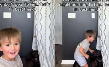 Toddler’s Bond With Neighbor’s Dog Is So Much More Than What the World Sees Toddler’s Bond With Neighbor’s Dog Is So Much More Than What the World Sees