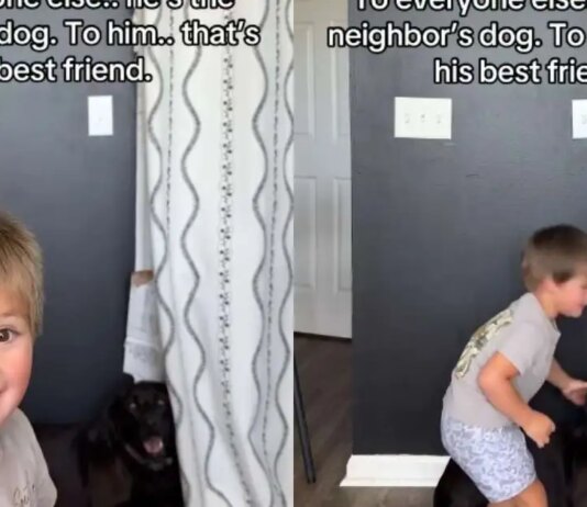 Toddler’s Bond With Neighbor’s Dog Is So Much More Than What the World Sees Toddler’s Bond With Neighbor’s Dog Is So Much More Than What the World Sees