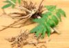 Valerian Root for Dogs – Whole Dog Journal Valerian Root for Dogs - Whole Dog Journal