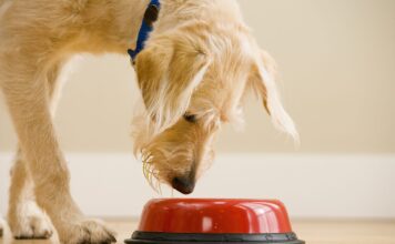Water Additives Are Not a Magic Elixir Water Additives Are Not a Magic Elixir