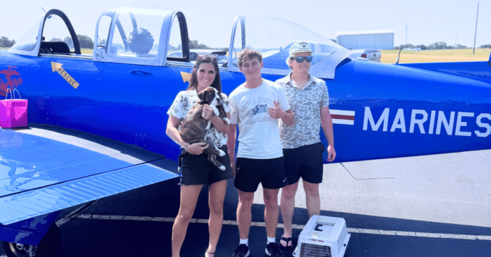 Your-Support-Helped-Fly-Hazel-to-Her-Rescue-Road-Trip.png Your Support Helped Fly Hazel to Her Rescue Road Trip, With a 17-Year-Old Leading the Way