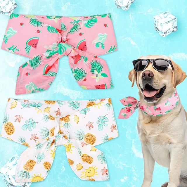 EXPAWLORER dog cooling bandana with insulation cooling technology
