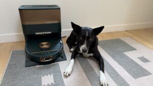 WIth both a vacuum and an auto mop the Shark was our best robot vacuum for dog hair and pet stains.