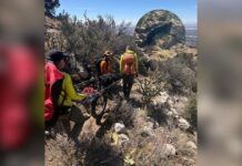 130-Pound Dog Decides He’s Done Hiking, So Deputies Give Him a 4-Mile Lift 130-Pound Dog Decides He’s Done Hiking, So Deputies Give Him a 4-Mile Lift