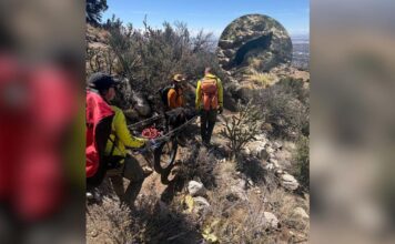130-Pound Dog Decides He’s Done Hiking, So Deputies Give Him a 4-Mile Lift 130-Pound Dog Decides He’s Done Hiking, So Deputies Give Him a 4-Mile Lift