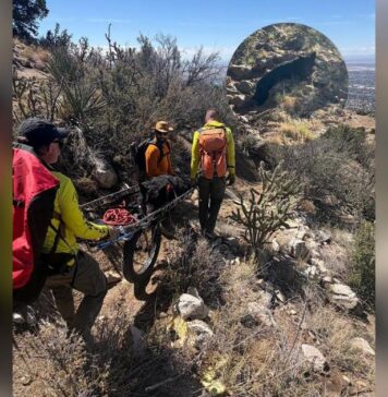 130-Pound Dog Decides He’s Done Hiking, So Deputies Give Him a 4-Mile Lift 130-Pound Dog Decides He’s Done Hiking, So Deputies Give Him a 4-Mile Lift