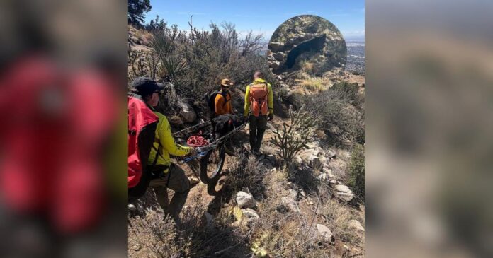 130-Pound-Dog-Decides-Hes-Done-Hiking-So-Deputies-Give-Him.jpg 130-Pound Dog Decides He’s Done Hiking, So Deputies Give Him a 4-Mile Lift