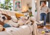 15 Solutions That Help With That “Dog Lives Here” Smell 15 Solutions That Help With That “Dog Lives Here” Smell