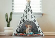 9 Best Dog Tent Beds For Cozy Napping Spots 9 Best Dog Tent Beds For Cozy Napping Spots