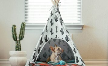 9 Best Dog Tent Beds For Cozy Napping Spots 9 Best Dog Tent Beds For Cozy Napping Spots