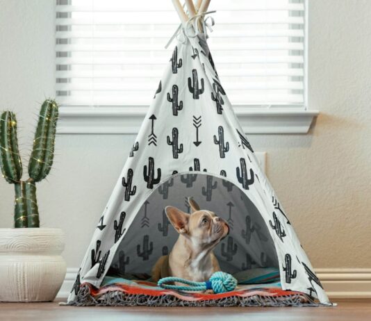 9 Best Dog Tent Beds For Cozy Napping Spots 9 Best Dog Tent Beds For Cozy Napping Spots