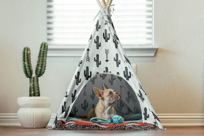 9-Best-Dog-Tent-Beds-For-Cozy-Napping-Spots.jpg 9 Best Dog Tent Beds For Cozy Napping Spots